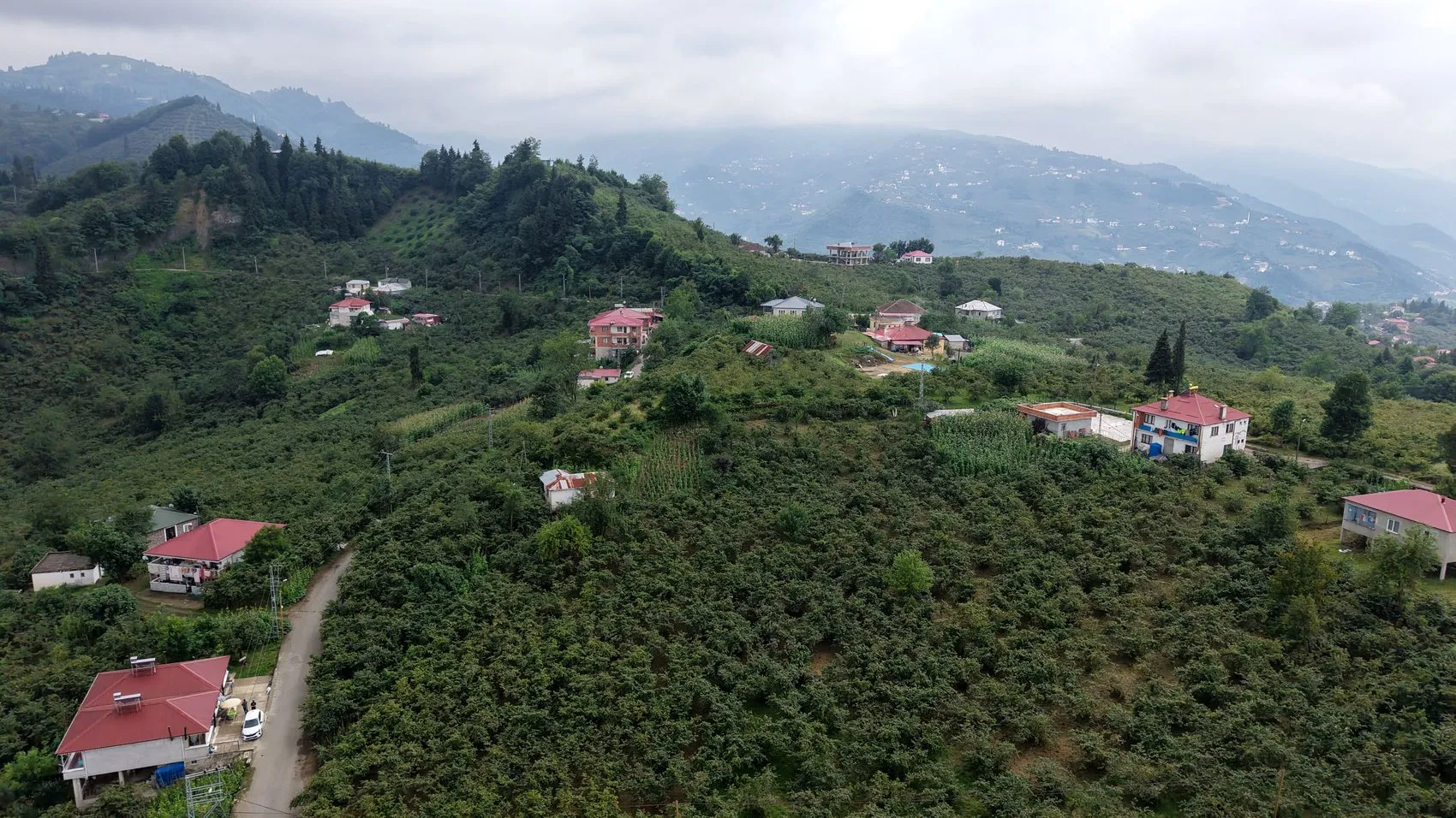 Trabzon'da fındık mesaisi horonla şenlendi