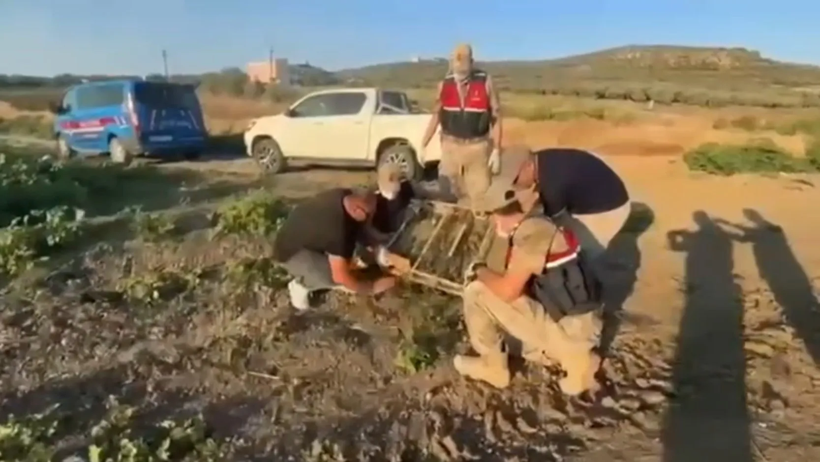 Hatay'da yakalanan kaçak kuşlara dev ceza
