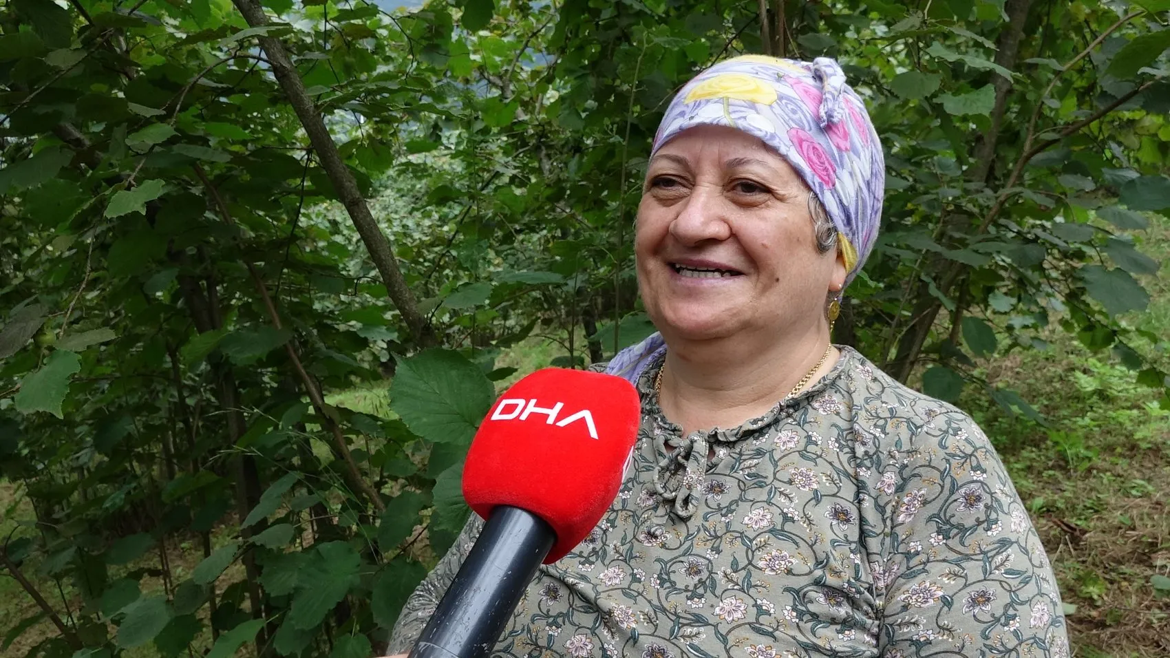 Trabzon'da fındık mesaisi horonla şenlendi