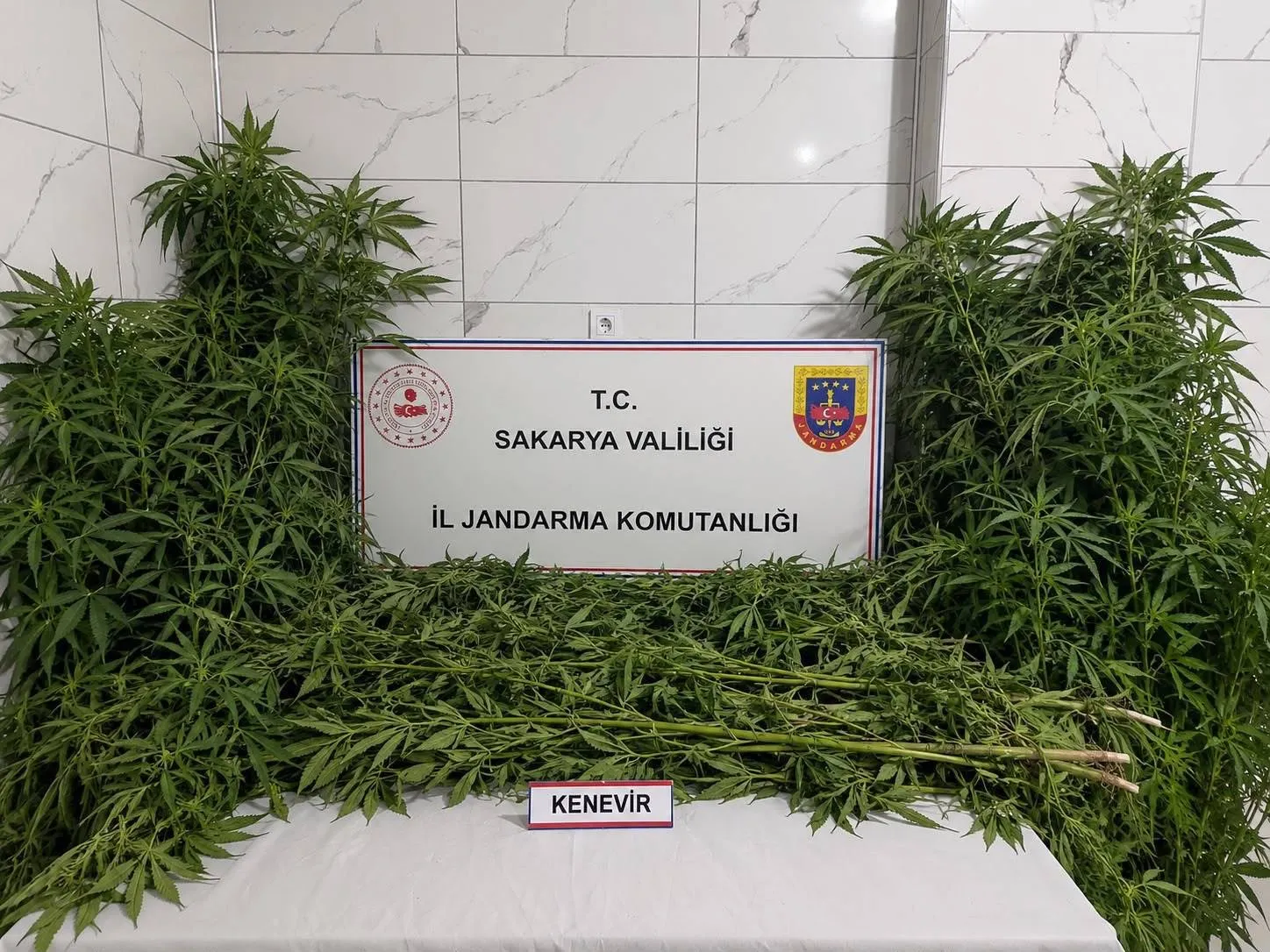 Sakarya jandarmasından zehir tacirlerine eş zamanlı darbe