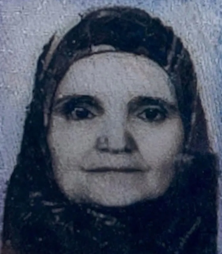 Mudanya'da sabah saatlerinde korkunç kaza Yolun karşısına geçerken canından oldu