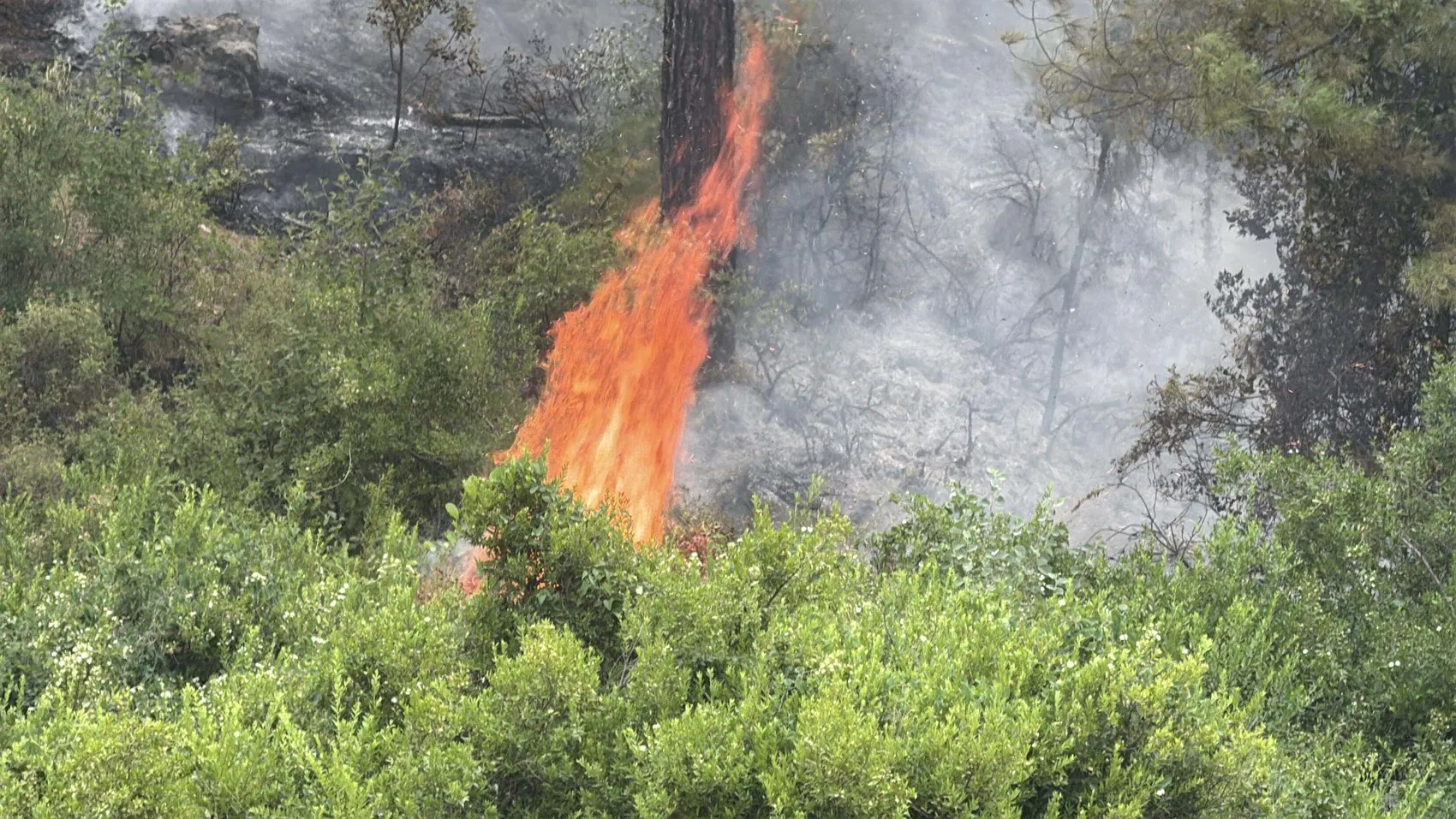 Rekor sıcaklıklar kapıda Son 150 yılın en güçlü El Nino dönemi başlıyor