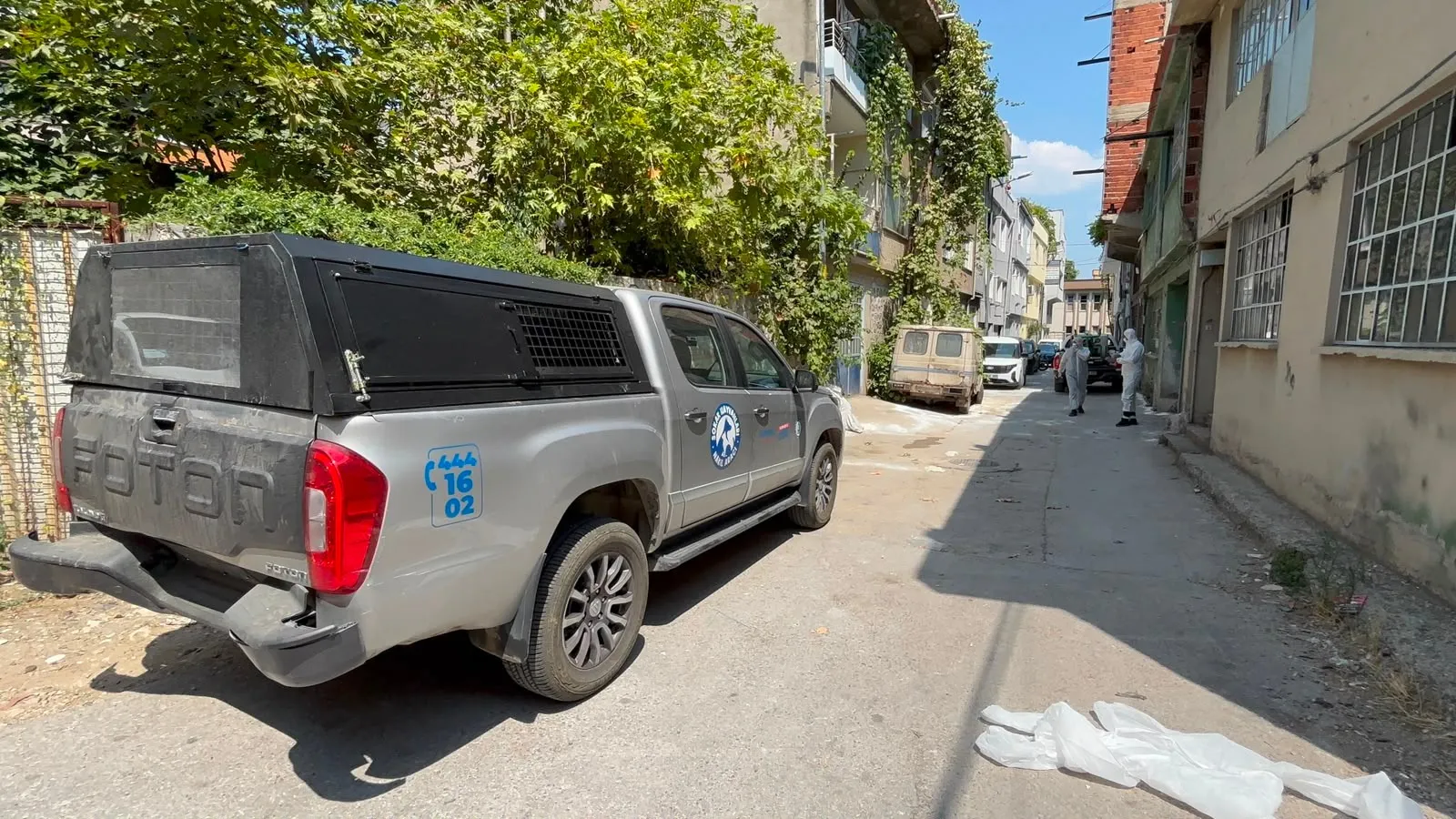 Bursa'da boş binadaki hayvanlar mahalleyi pire istilasına uğrattı