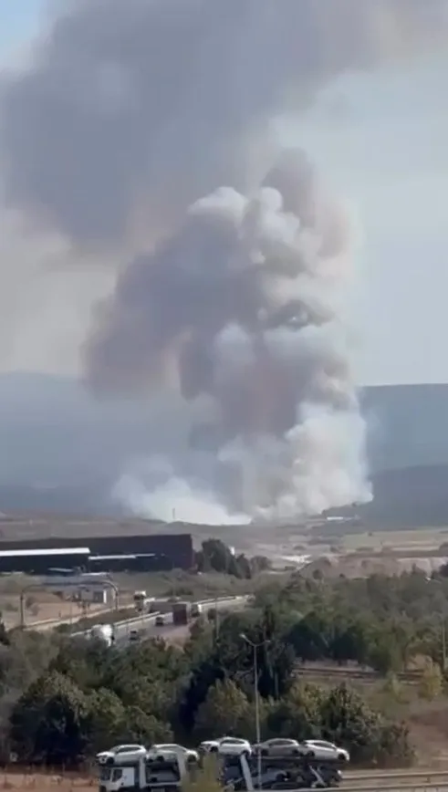 Rüzgar alevleri ormana taşıdı, Bursa'da yangına havadan müdahale var