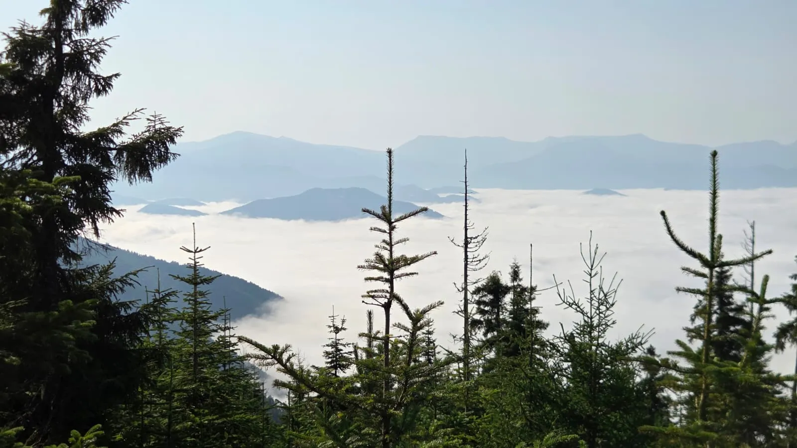 Artvin’in zirvelerinde oluşan dev sis denizi görüntülendi