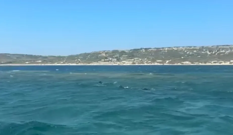 Bozcaada’da zıpkınla balık avına çıkan dalgıç kayıplara karıştı