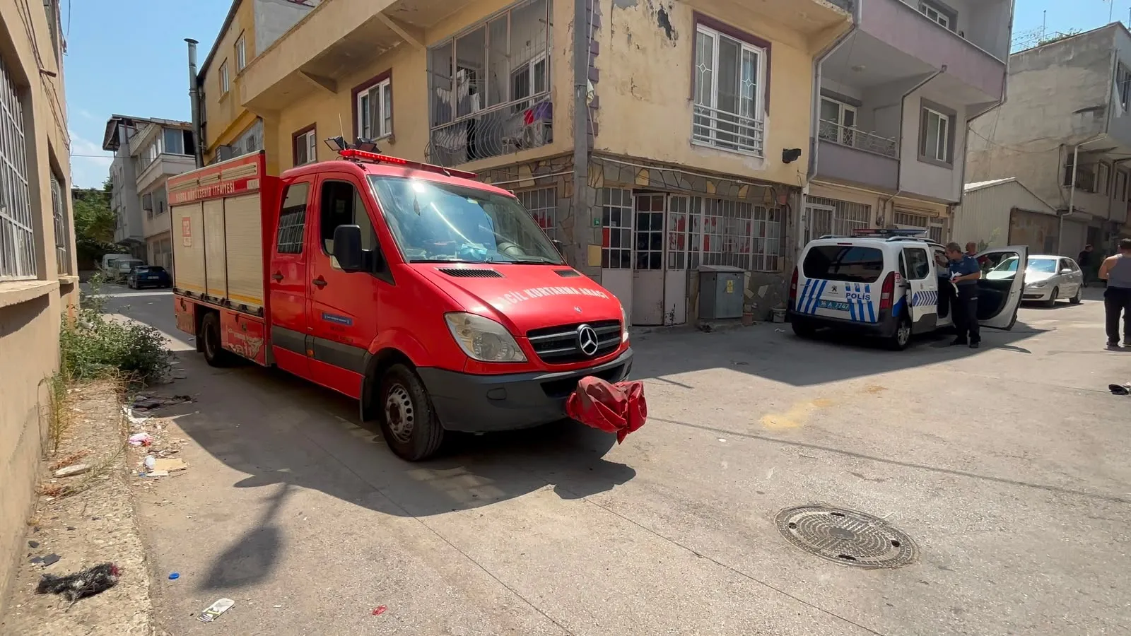 Bursa'da boş binadaki hayvanlar mahalleyi pire istilasına uğrattı