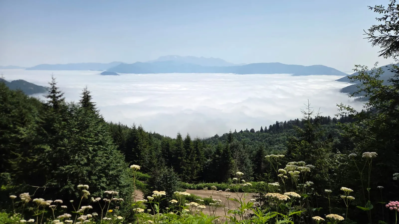 Artvin’in zirvelerinde oluşan dev sis denizi görüntülendi