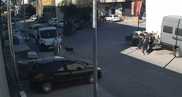 Ankara sanayisinde korkunç olay Köpekten kaçan 15 yaşındaki Berat hayatını kaybetti