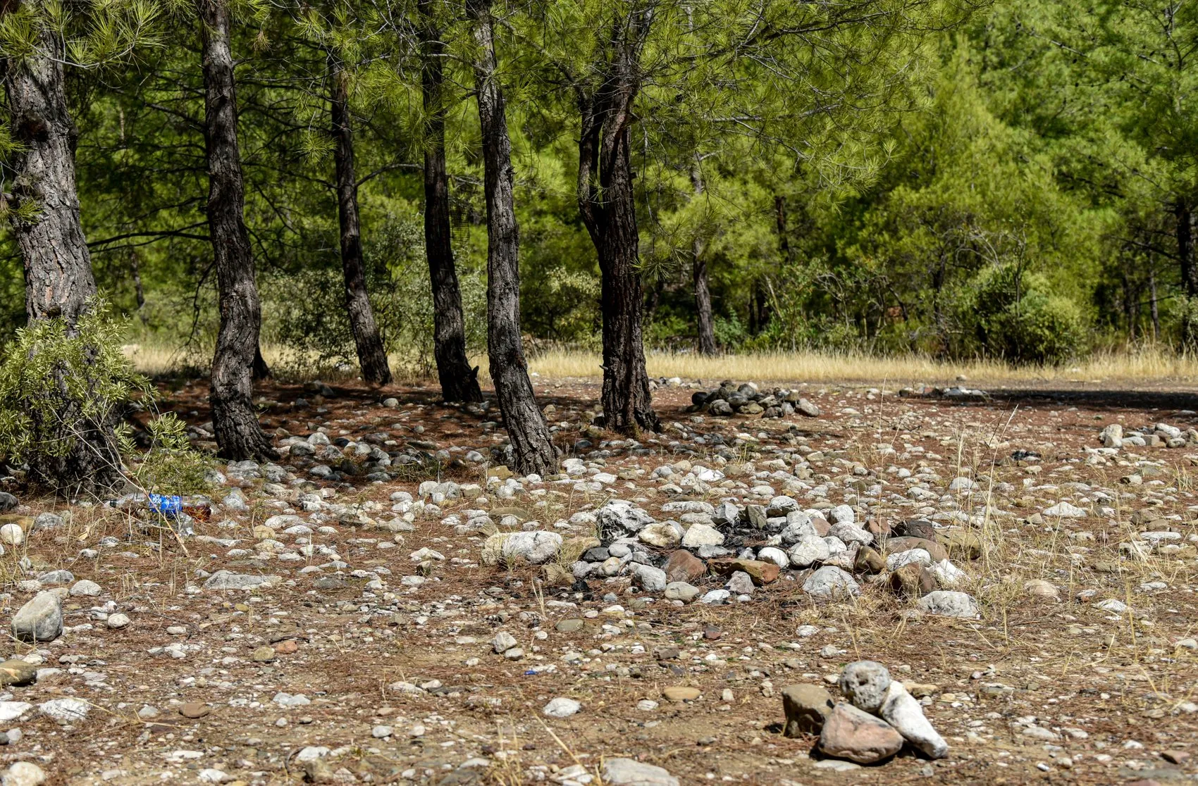 Antalya ormanlarında mangal inadı yangına davetiye çıkarıyor
