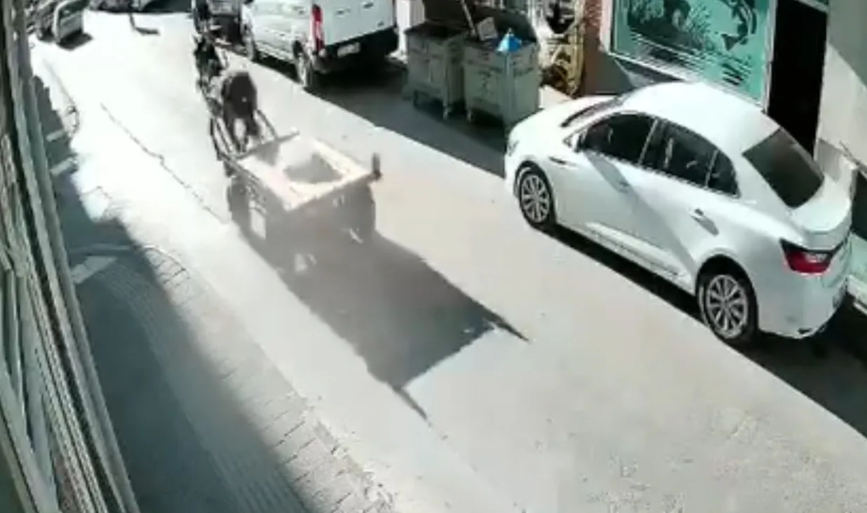 Edirne Uzunköprü'de kontrolden çıkan at arabası ortalığı birbirine kattı