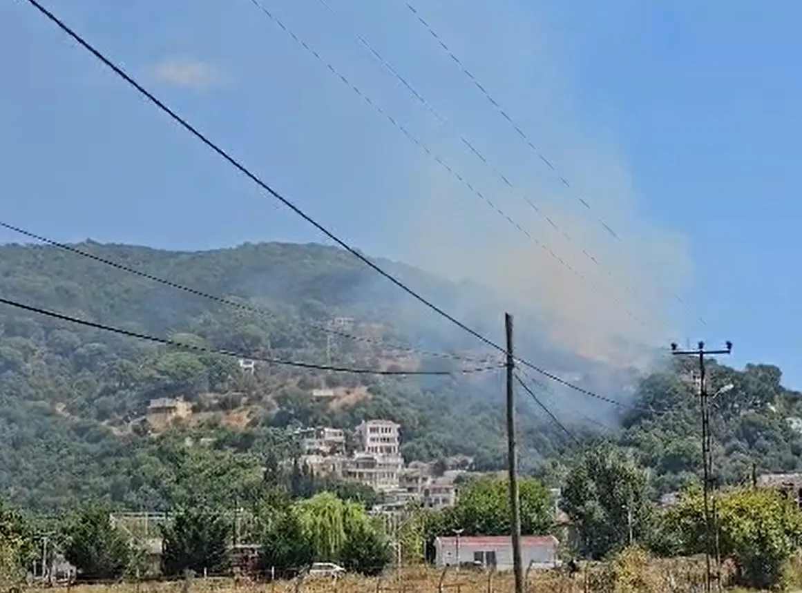 Marmara Adası alevlere teslim