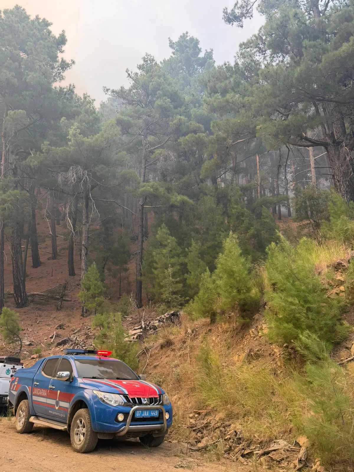 Manavgat'ta orman yangını kabusu 22 saat sonra bitti