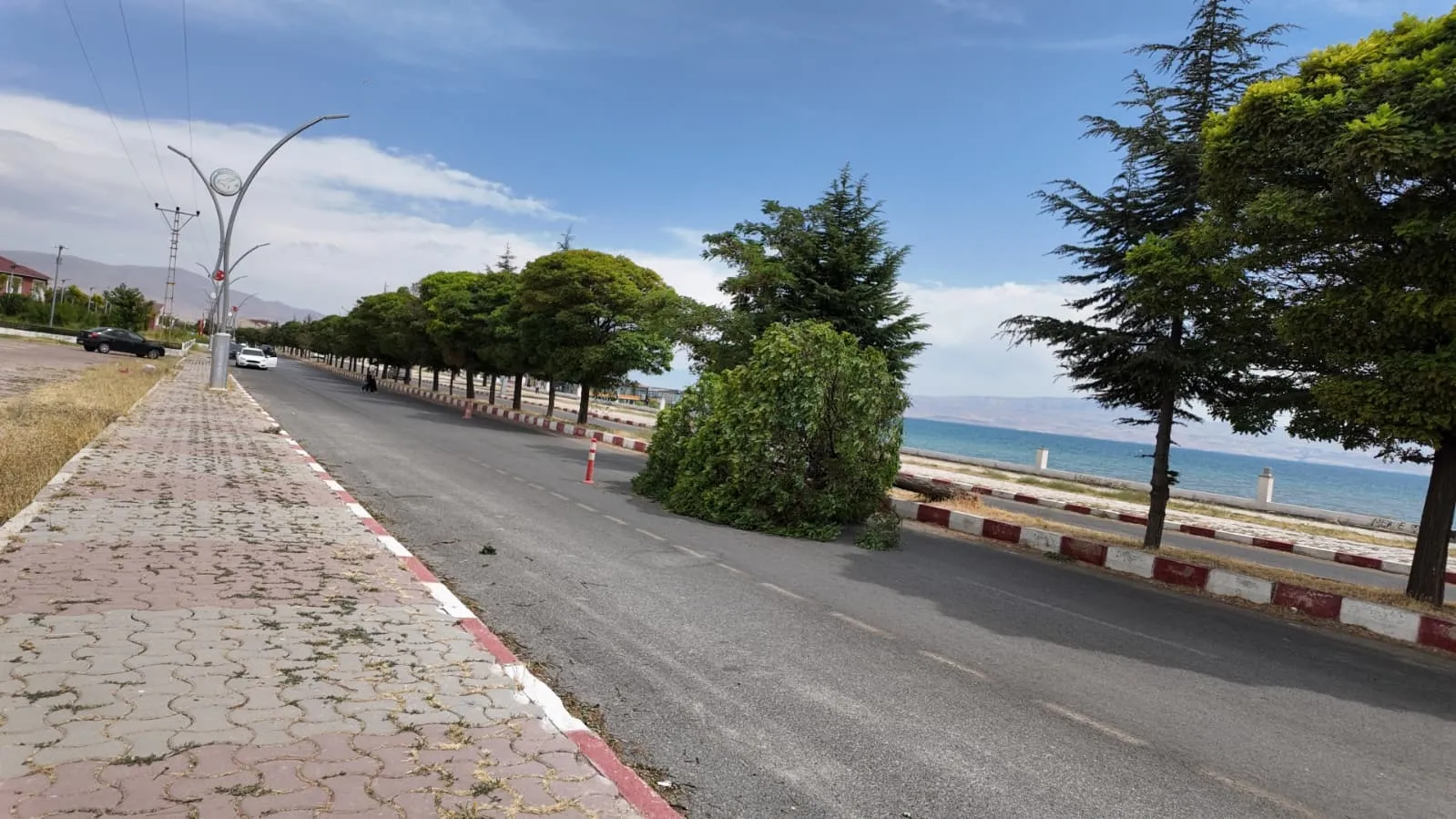 Van Erciş'te doğa bir anda öfkelendi: Ağaçlar devrildi, çatılar uçtu