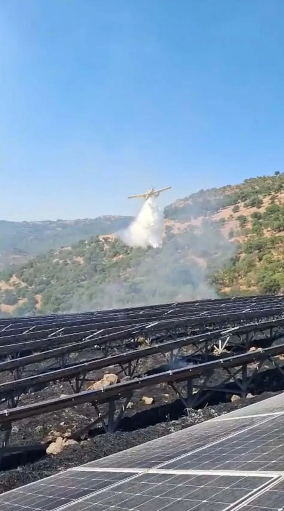 Ayvalık'ta otluk alanda başlayan yangın ormana sıçradı