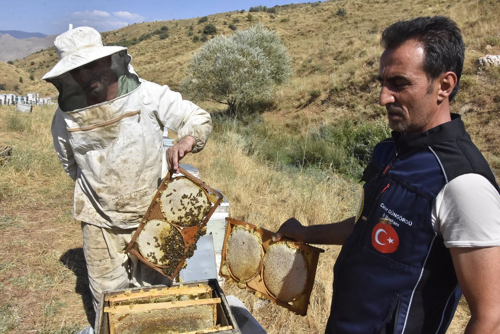 Bitlis yaylalarında bal bereketi yaşanıyor