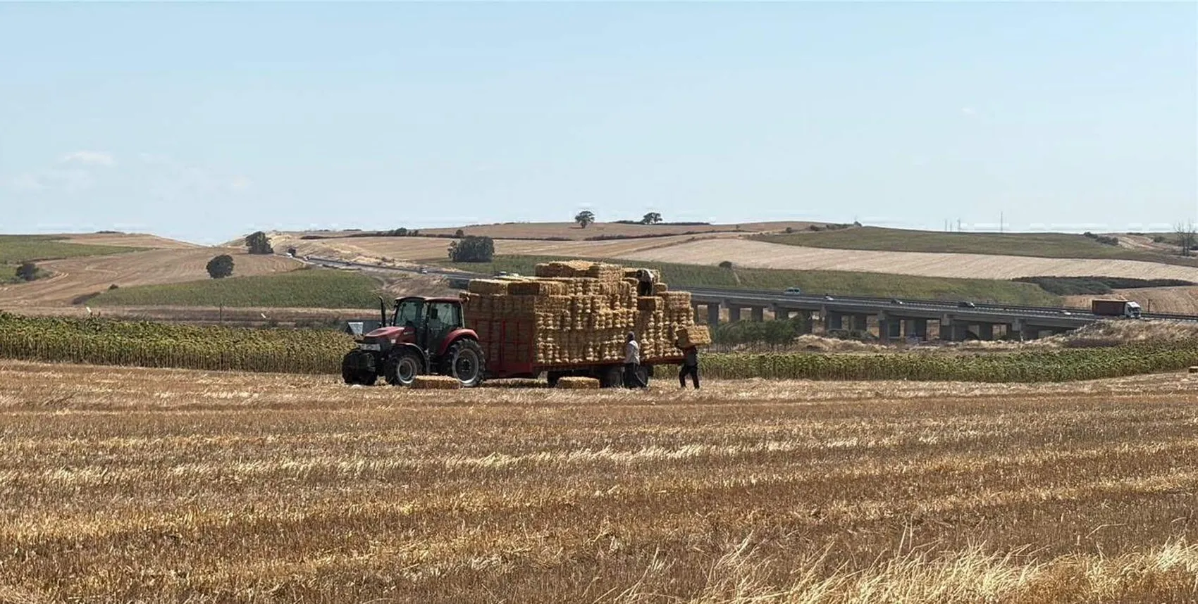 Tekirdağ Ergene’de büyük yangın 4 ev ve saman balyaları kül oldu