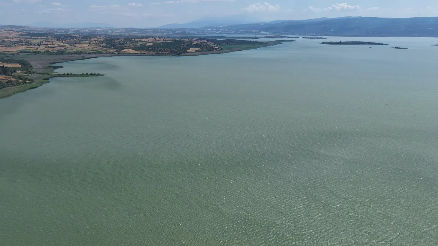 Uluabat Gölü'nün rengi değişti, uzmanlar uyardı