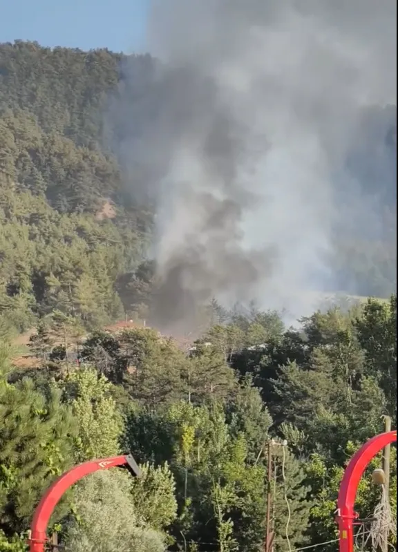 Bolu Göynük ormanlarında yangın paniği
