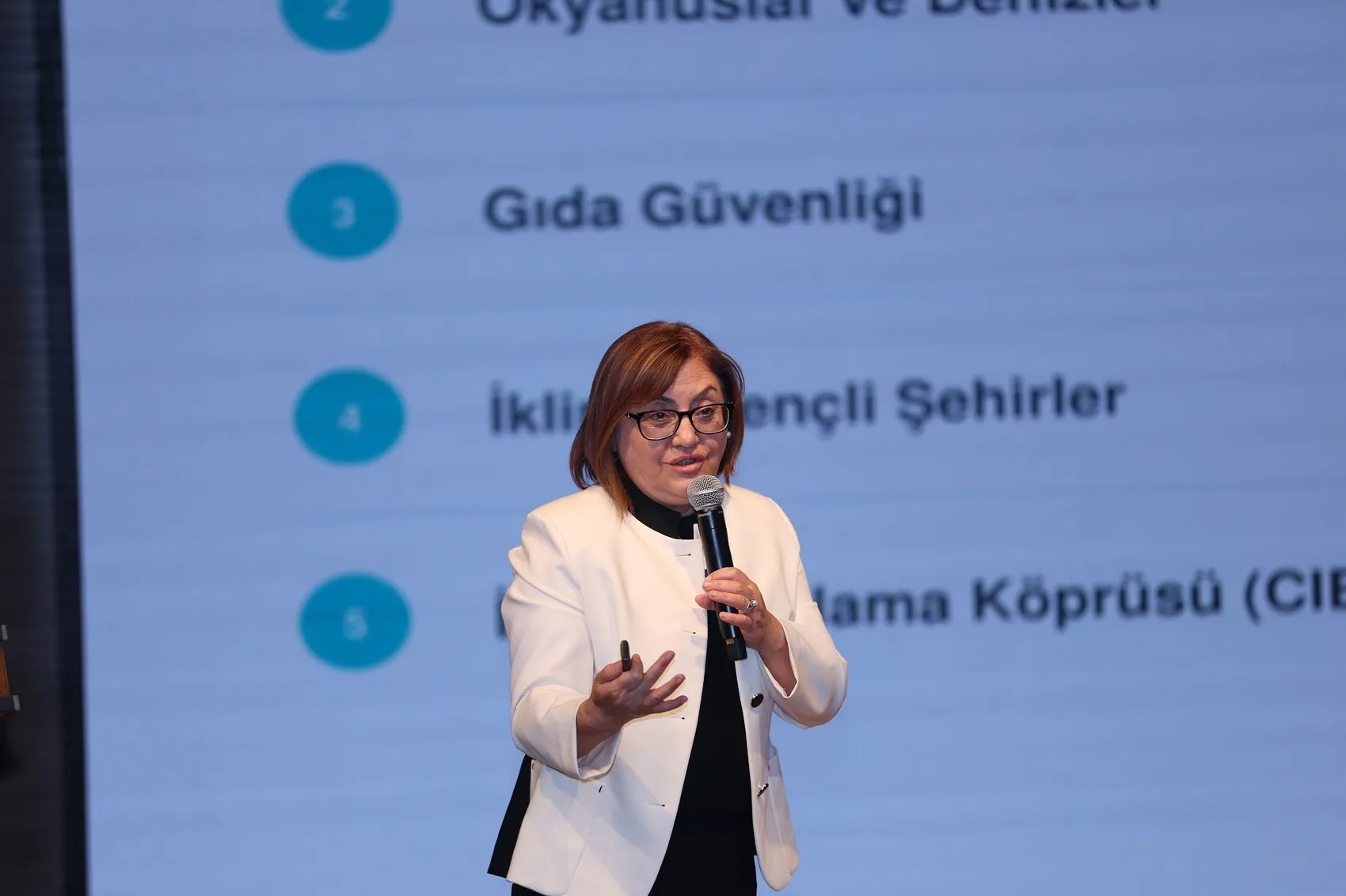 Türkiye iklim zirvesine hazırlanıyor