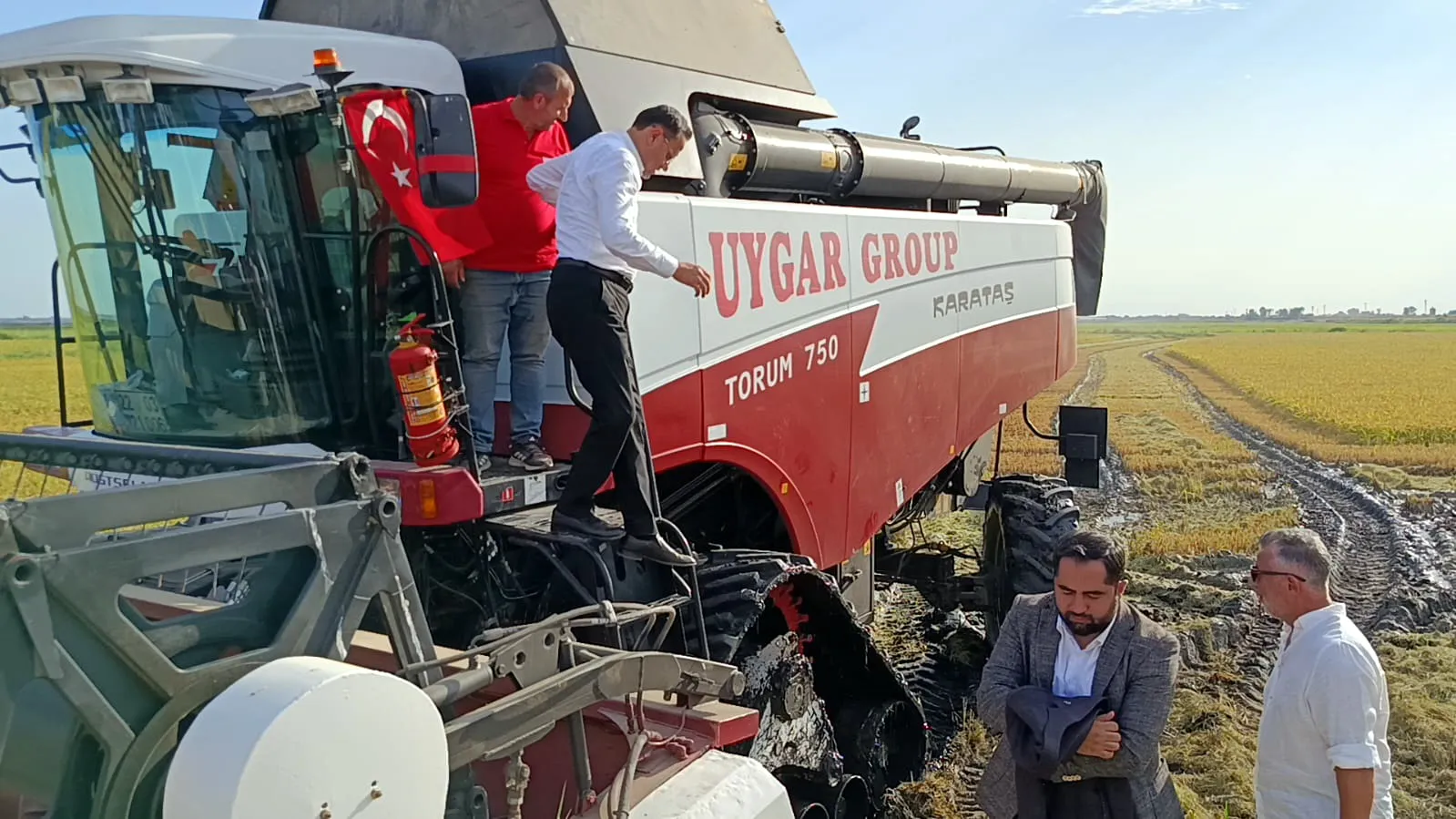 Edirne'de çeltik hasadı başladı, Bakan Yardımcısı biçerdövere bindi