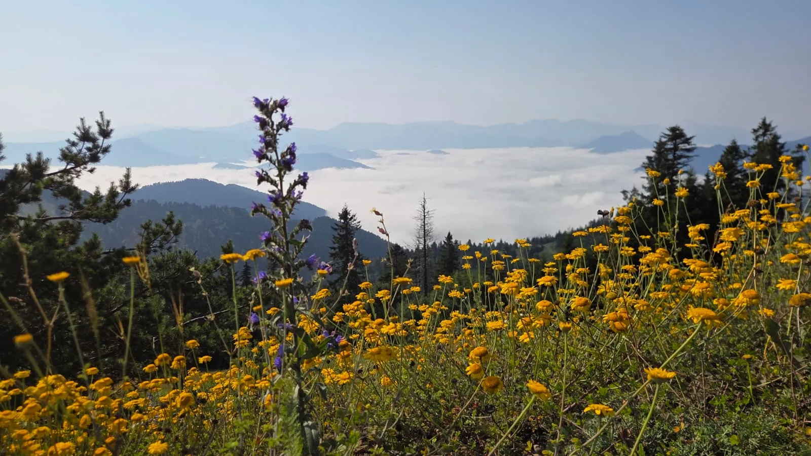 Artvin’in zirvelerinde oluşan dev sis denizi görüntülendi