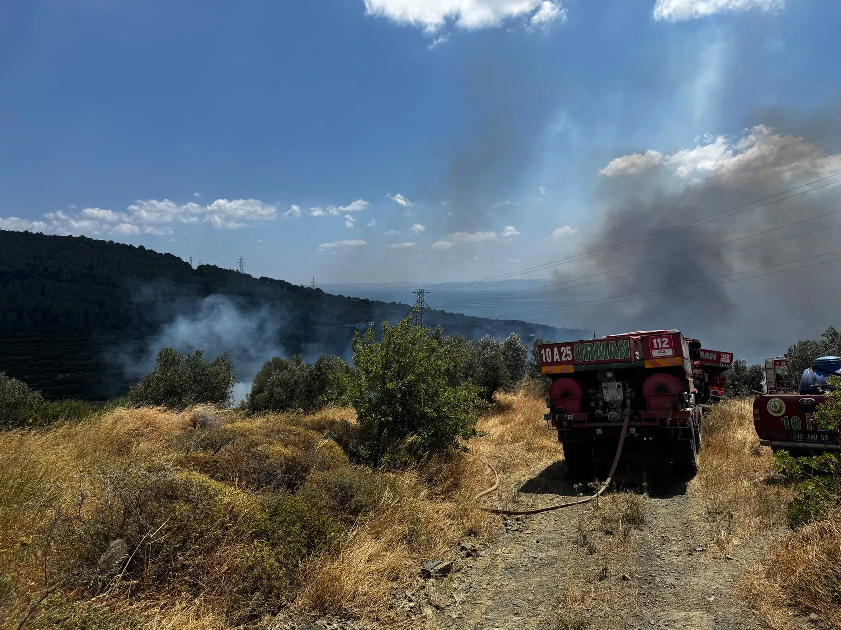 Erdek ormanlarında korkutan yangın kontrol altına alındı