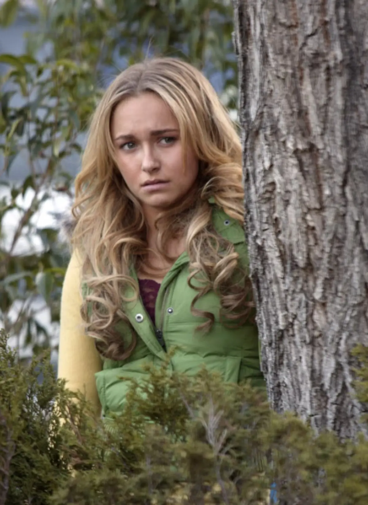 Hayden Panettiere neden öldü? Daha 36 yaşındaydı... 1