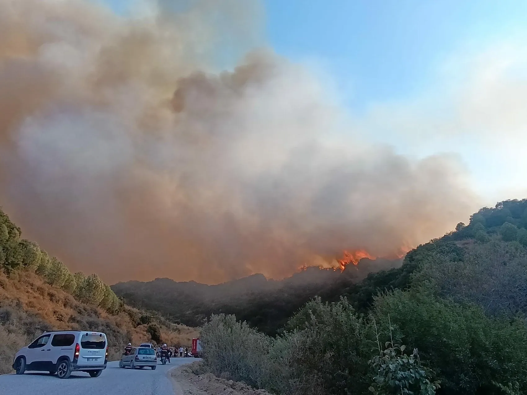 Turgutlu’da orman yangını paniği