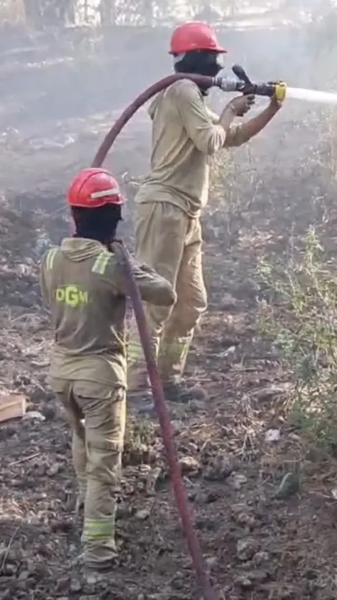 Balıkesir Susurluk’ta orman yangını 22 saat sonra söndürüldü