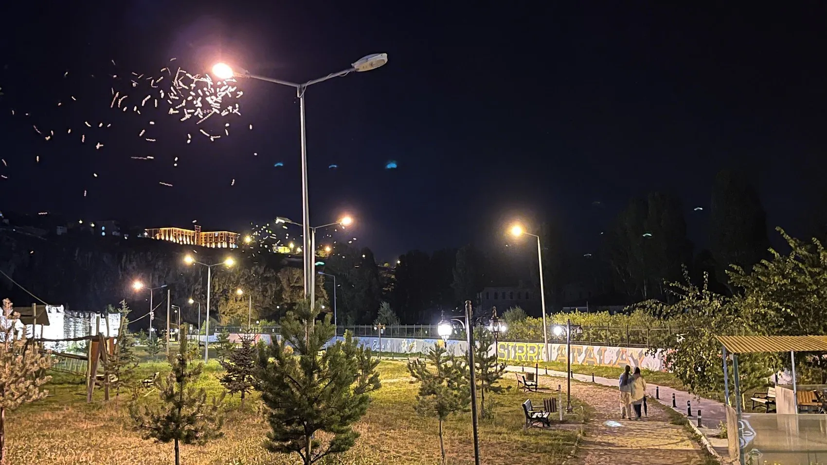 Ardahan’da milyonlarca kelebeğin ışığa göçü başladı