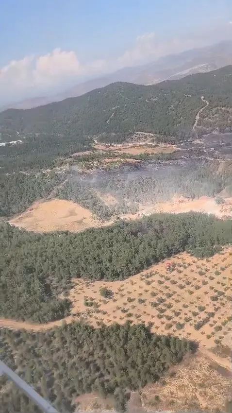 Bilecik ormanlarında korkutan yangın kontrol altına alındı