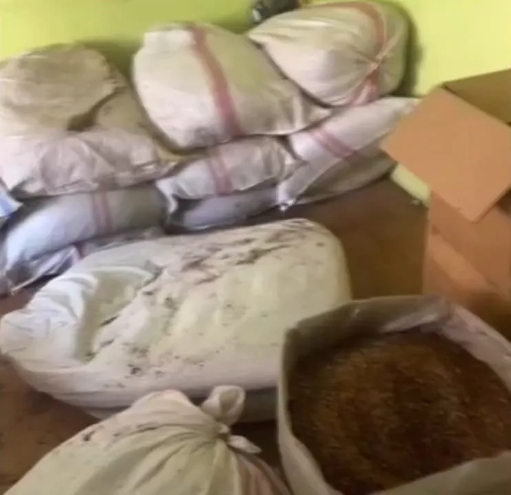 Pendik'te kaçak tütün deposuna polis baskını
