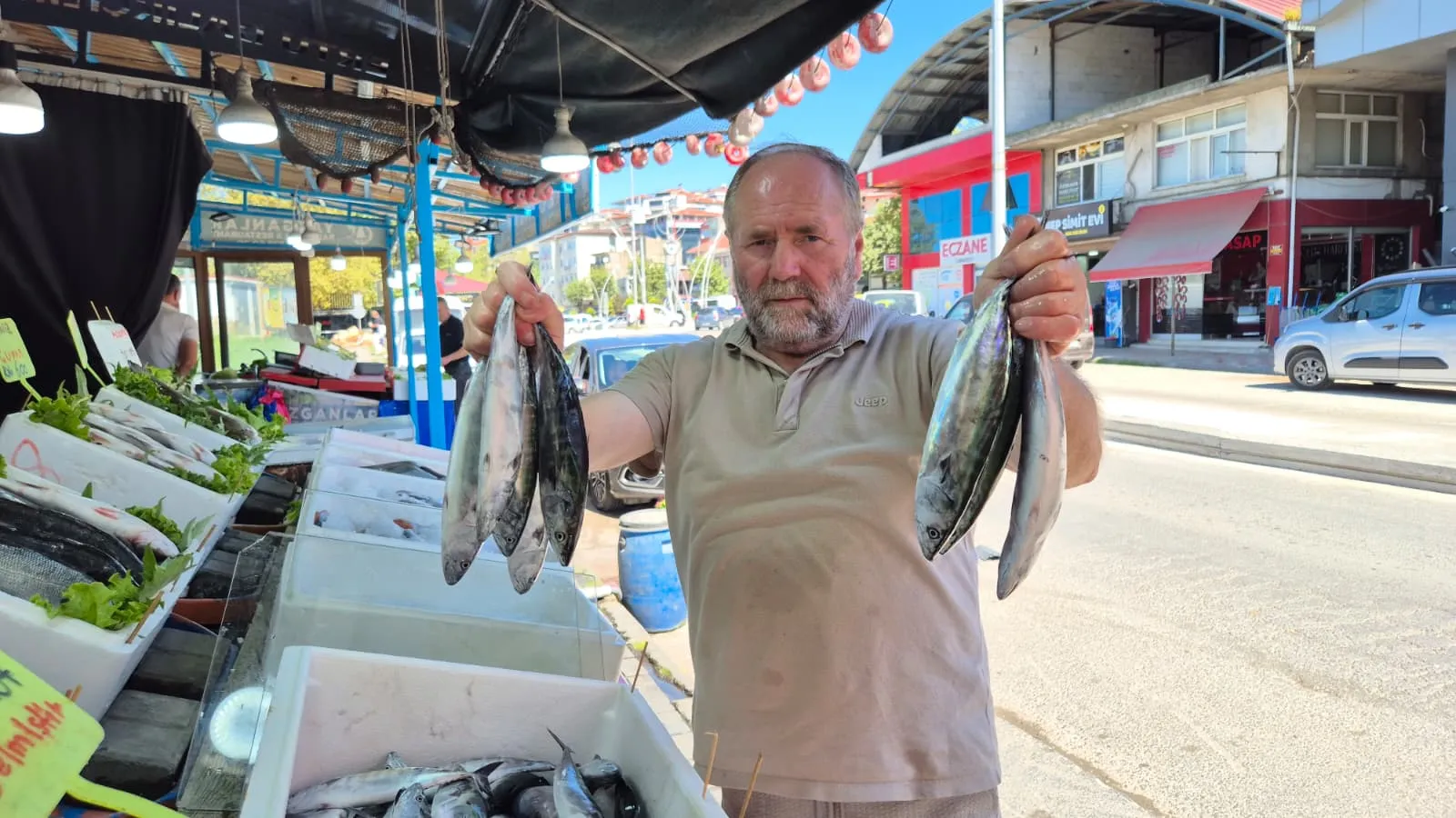 Karadeniz balıkçısının yüzü güldü Palamut tezgahlara indi