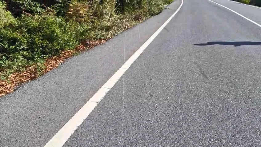 Şile'nin ölüm virajı yine can aldı: 30 yaşındaki sürücü kurtarılamadı