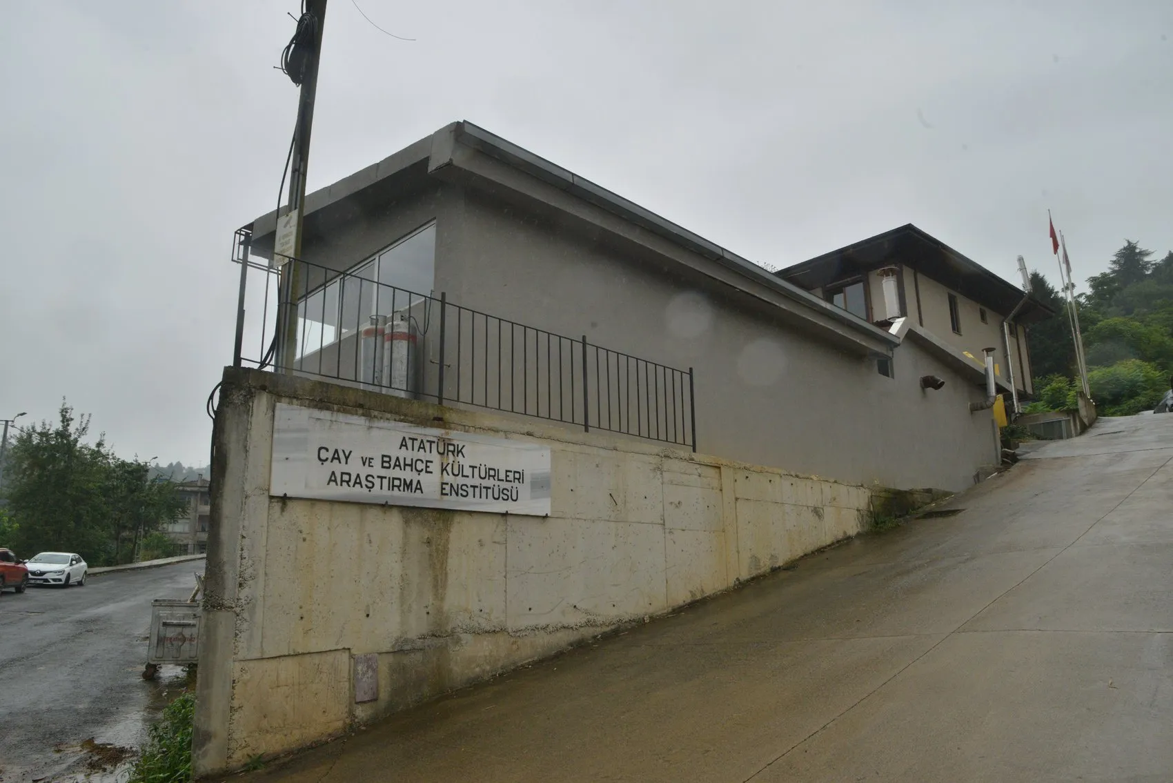 Rize'de Çay Atıklarından Yerli Üretim 'Çaykopit' Serada İlk Meyvelerini Verdi