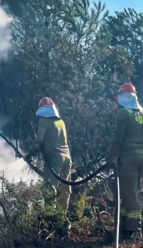 Rüzgarın sıçrattığı yangını ekipler 3 saatte söndürdü
