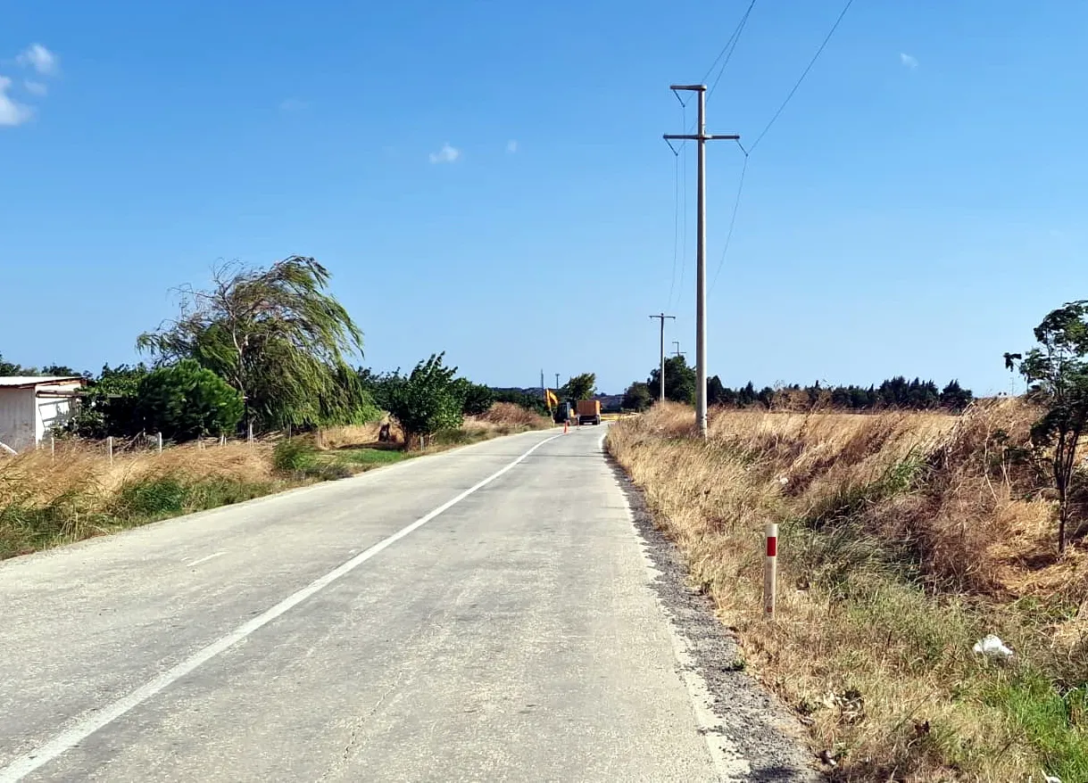 Tekirdağ'da yüksek gerilim hattı leyleklere mezar oldu
