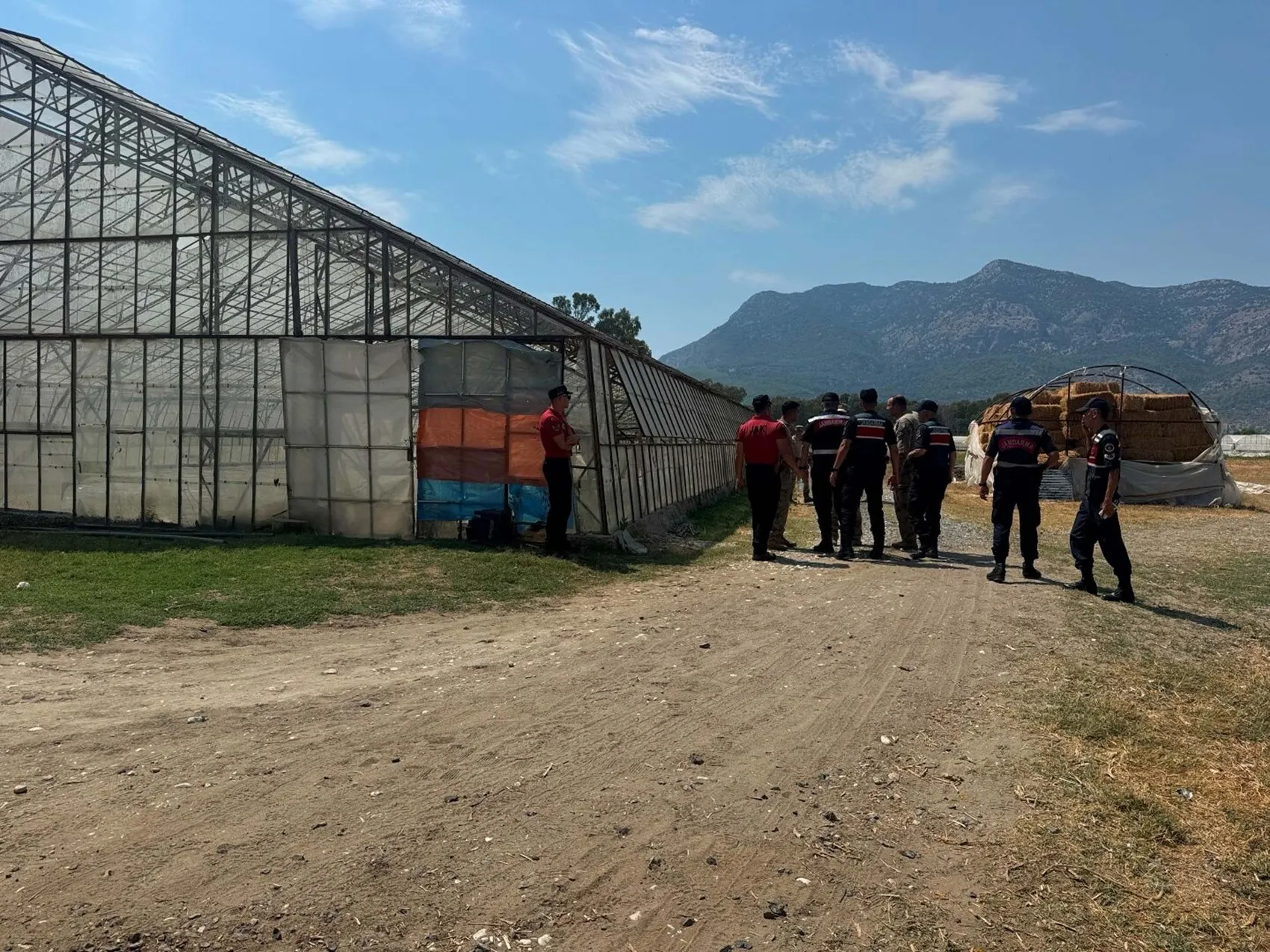 Seydikemer'de günlerdir aranan Mehmet Ali Yiğit serada ölü bulundu