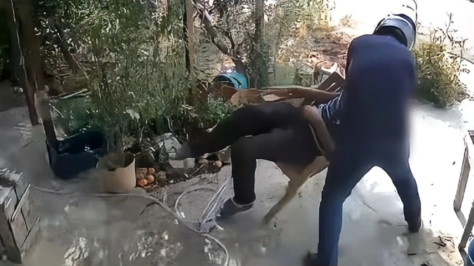 Mersin'de kasklı saldırganın yaraladığı 80 yaşındaki adam hayatını kaybetti