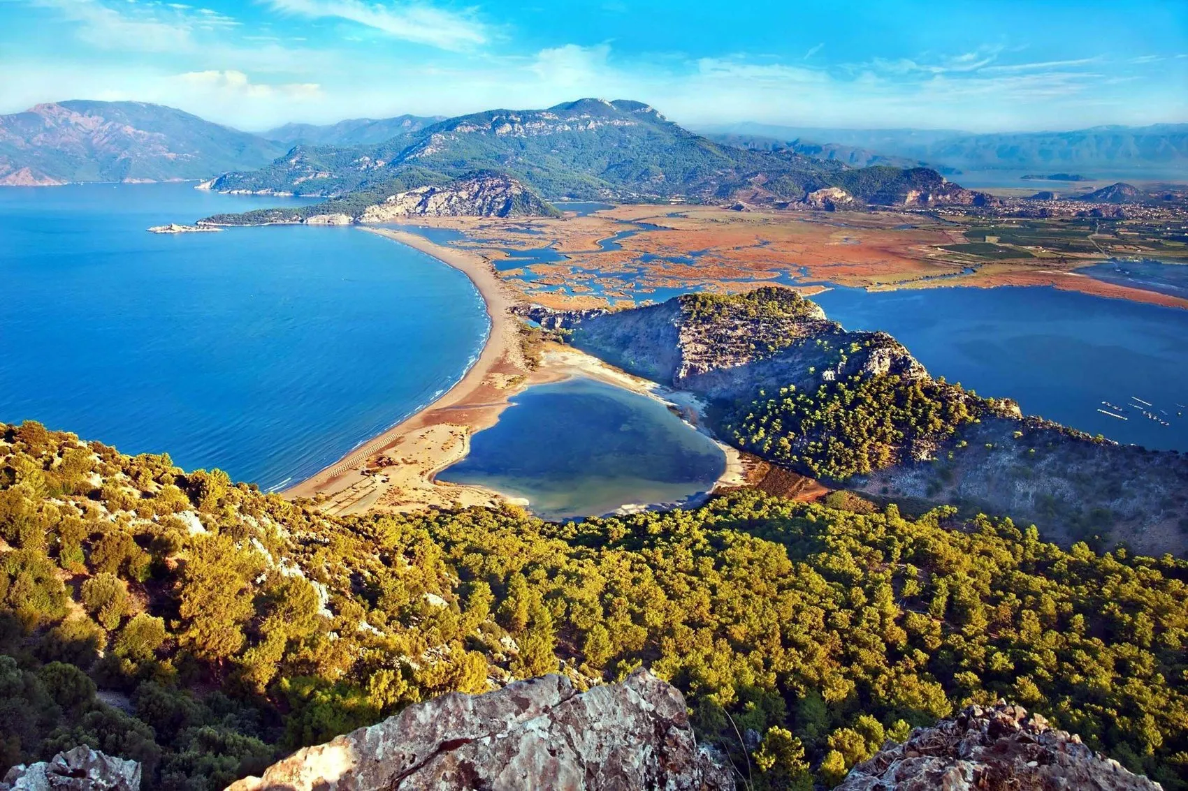 İztuzu plajında caretta carettalara yaklaşanlar için kritik uyarı