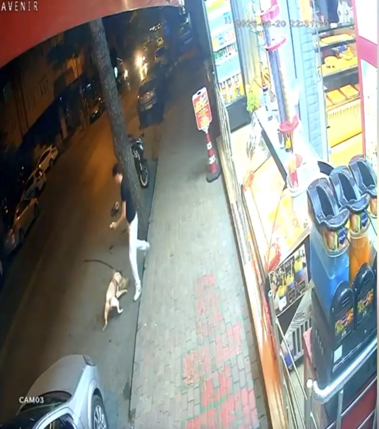 Bağcılar'da sorumsuz köpek sahibi mahalle kedisinin ölümüne neden oldu?