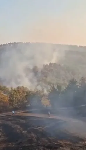 Bolu Göynük alevlere teslim oldu