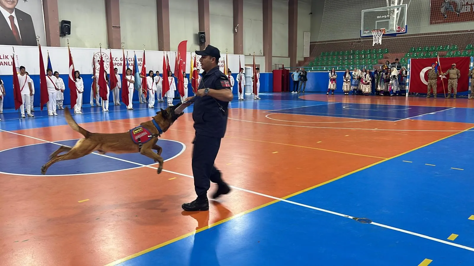 Nevşehir'de 30 Ağustos coşkusu: Nefes isimli köpek şovlarıyla salonu ayağa kaldırdı