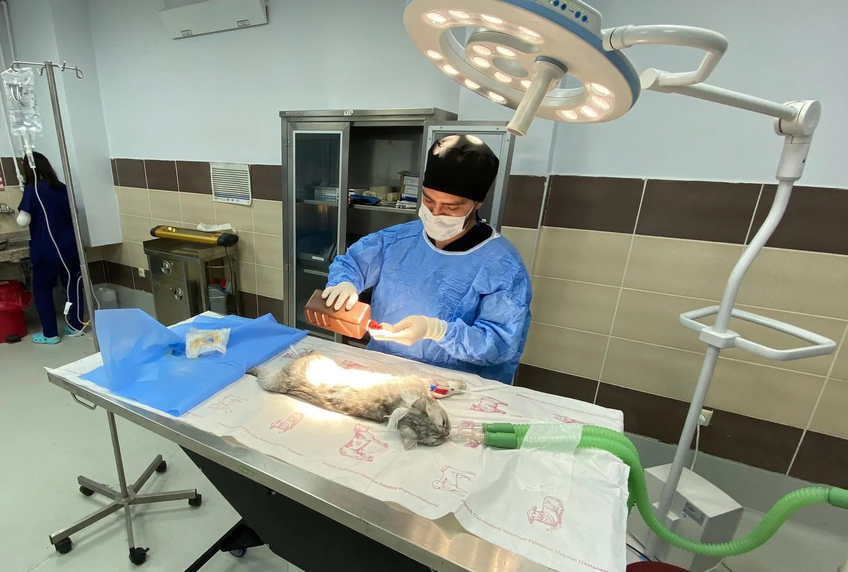 Erzurum'daki hayvan hastanesi 9 bin cana umut oluyor