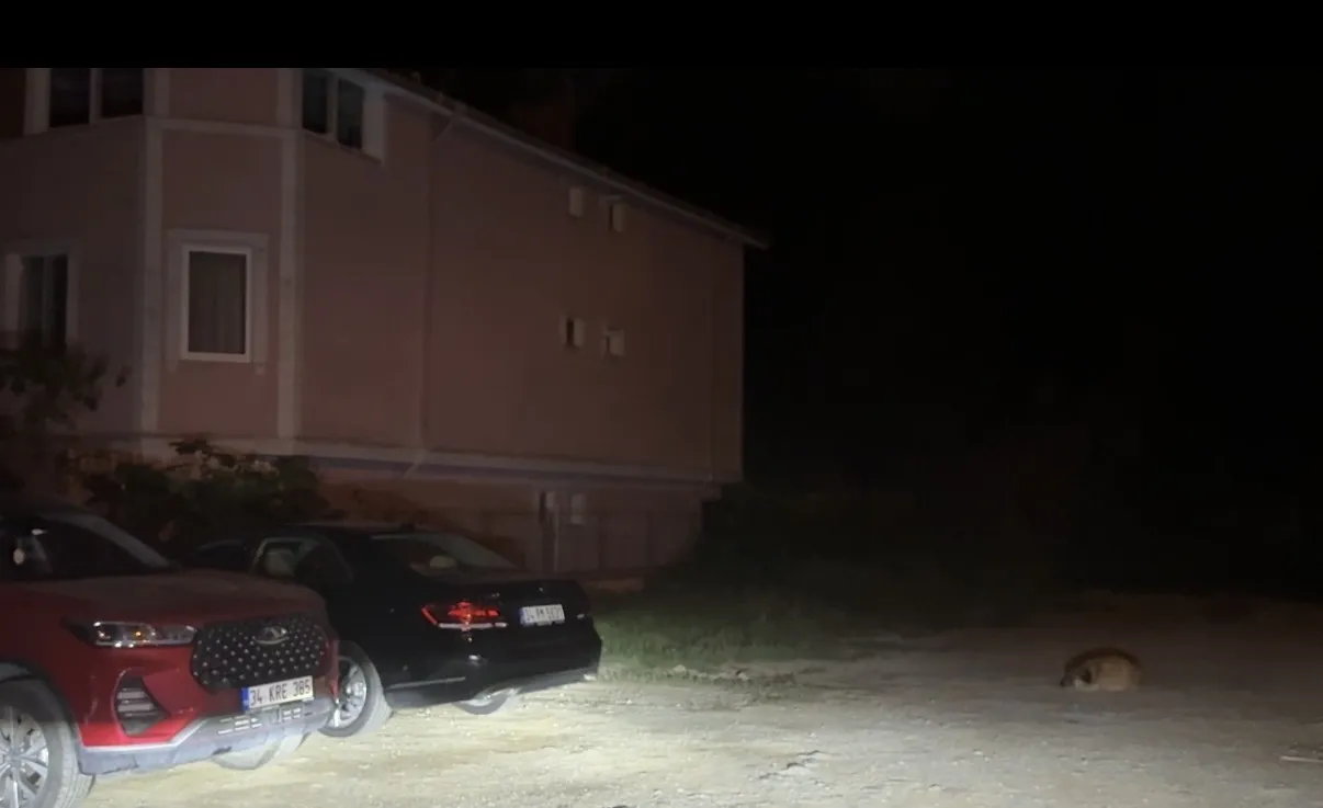 Sarıyer'de ev kazası Emekli öğretmen hayatını kaybetti
