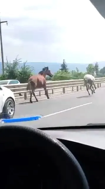 İnegöl yolunda trafik durma noktasına geldi