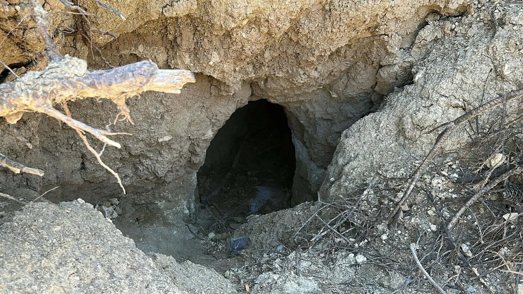 Çanakkale’deki yangın izleri tarihe açılan kapı oldu