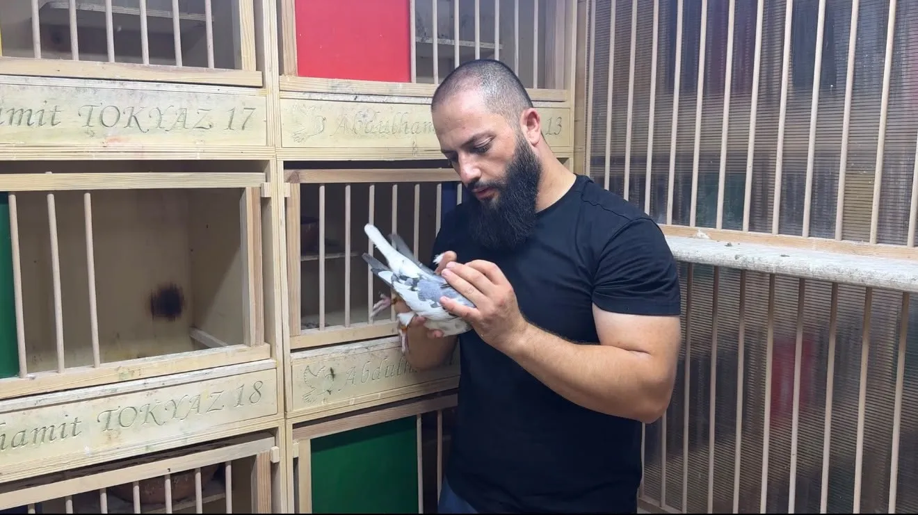 Hatay'da bir kümes dolusu lüks Kuşların değeri otomobil fiyatını aşıyor