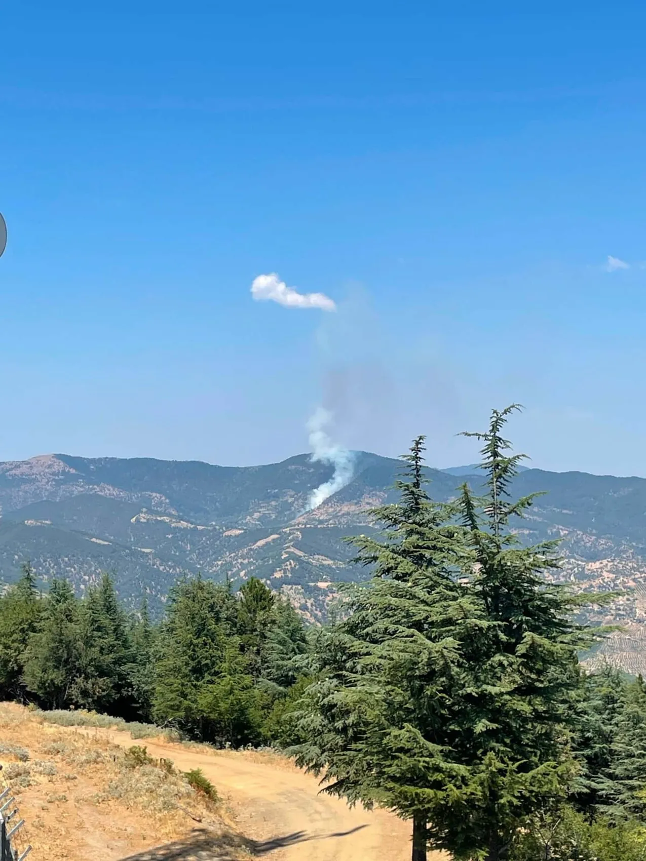 Kuyucak’ta kestane bahçeleri küle döndü